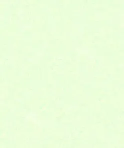 PIE 20" PULGADAS VINIL TRANSFER TEXTIL PEARL GLITTER NEON GREEN 447