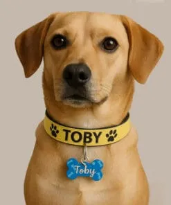 ACCESORIOS SUBLIMABLES PARA MASCOTAS